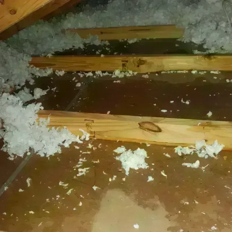 Attic Water Damage in Daingerfield, TX