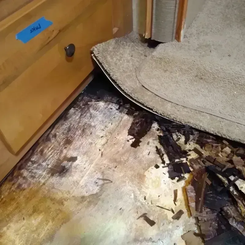 Wood Floor Water Damage in Daingerfield, TX